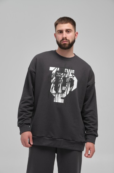 Світшот чоловічий Urban Planet Ovr Ds Asp